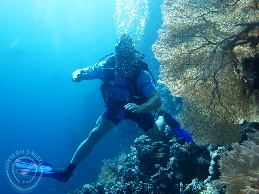02-08 Aralık 2017 Sharm El Sheikh