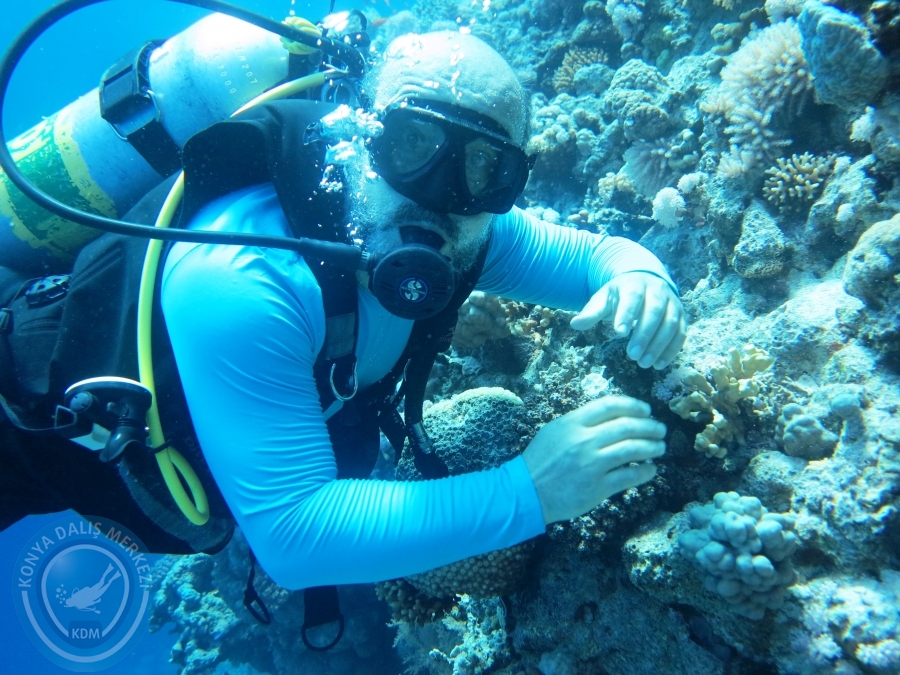 02-08 Aralık 2017 Sharm El Sheikh