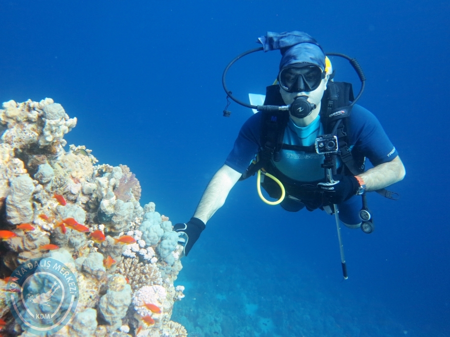 02-08 Aralık 2017 Sharm El Sheikh