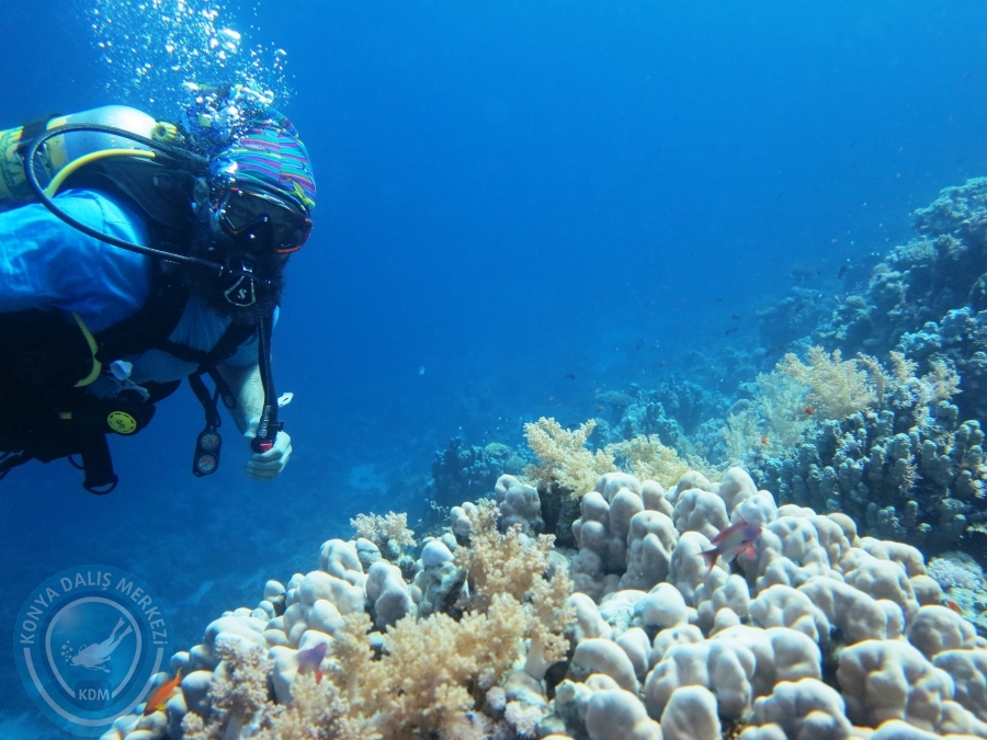 02-08 Aralık 2017 Sharm El Sheikh