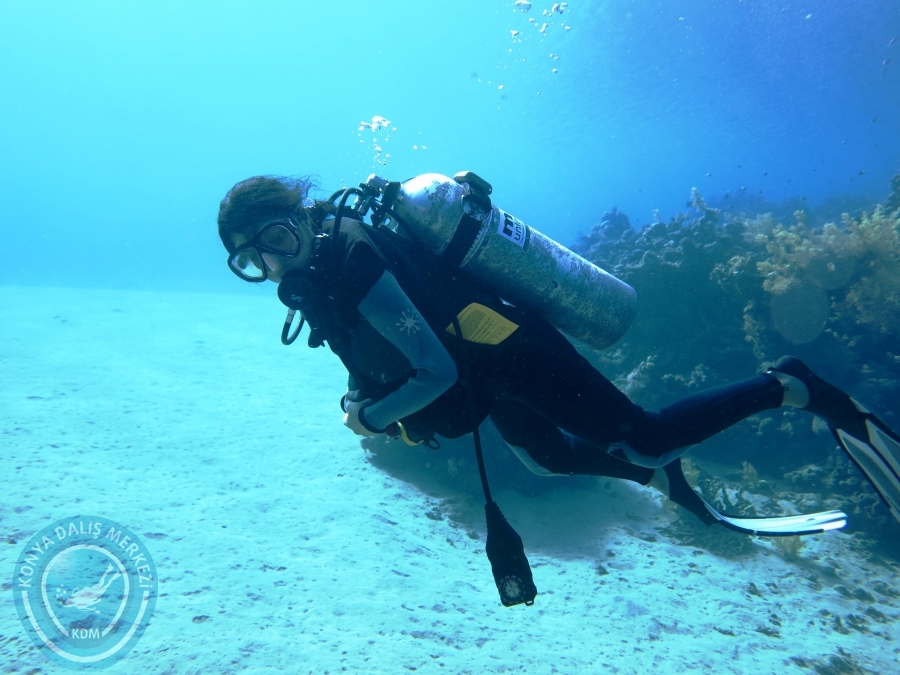 02-08 Aralık 2017 Sharm El Sheikh