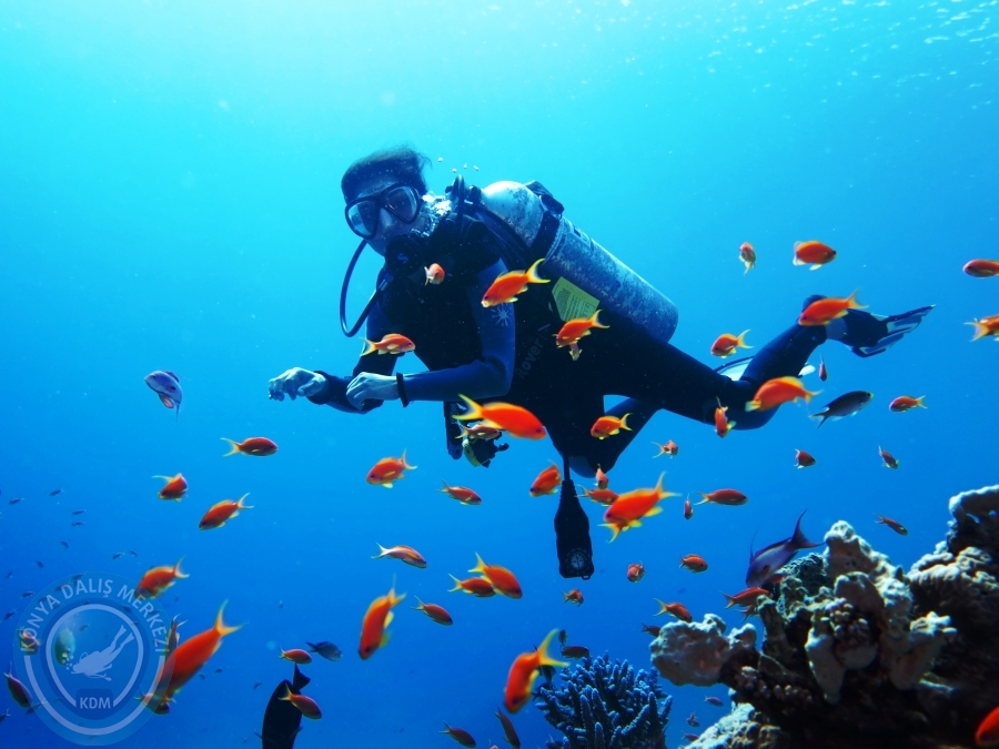 02-08 Aralık 2017 Sharm El Sheikh