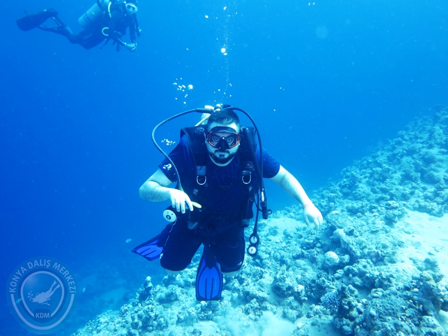 02-08 Aralık 2017 Sharm El Sheikh
