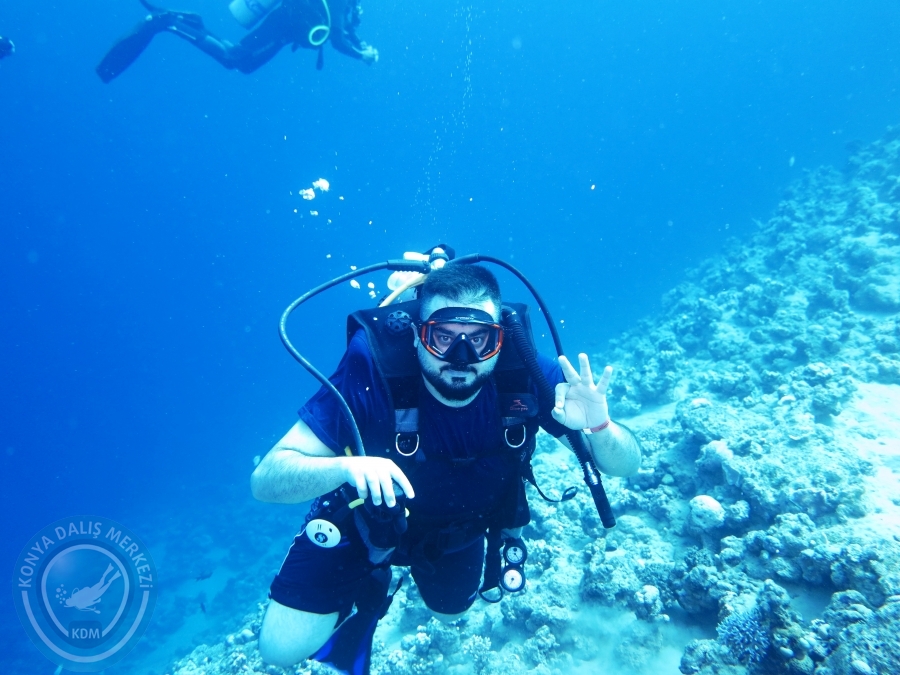 02-08 Aralık 2017 Sharm El Sheikh