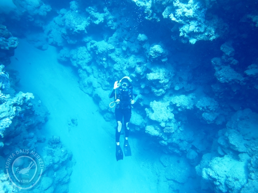 02-08 Aralık 2017 Sharm El Sheikh