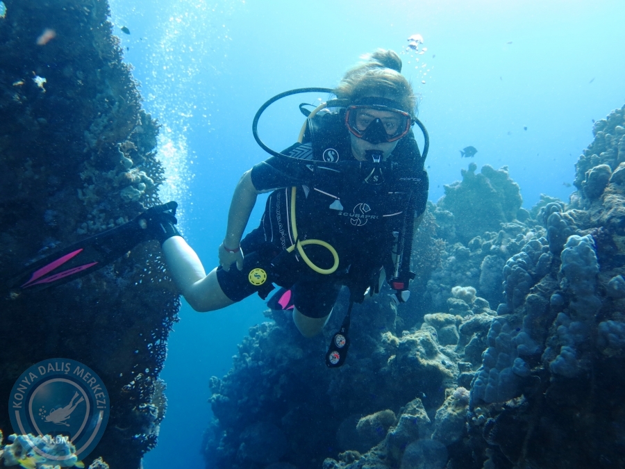 02-08 Aralık 2017 Sharm El Sheikh