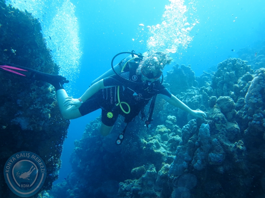02-08 Aralık 2017 Sharm El Sheikh