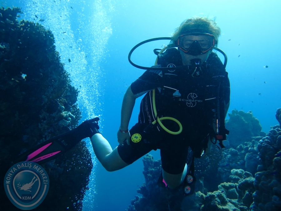 02-08 Aralık 2017 Sharm El Sheikh