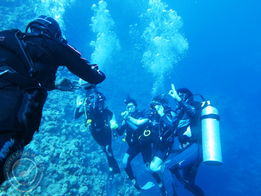 02-08 Aralık 2017 Sharm El Sheikh