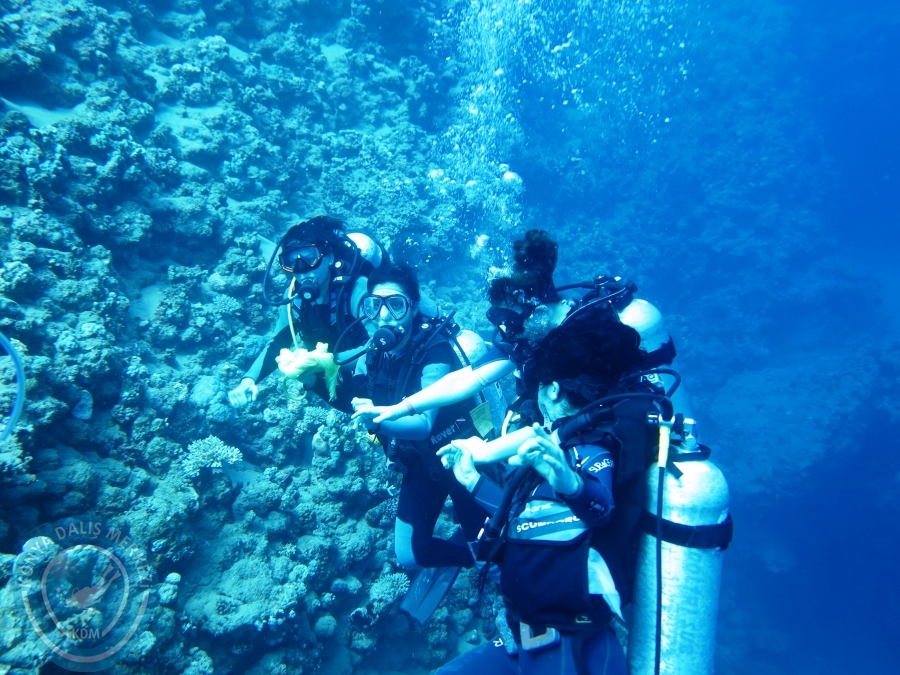 02-08 Aralık 2017 Sharm El Sheikh