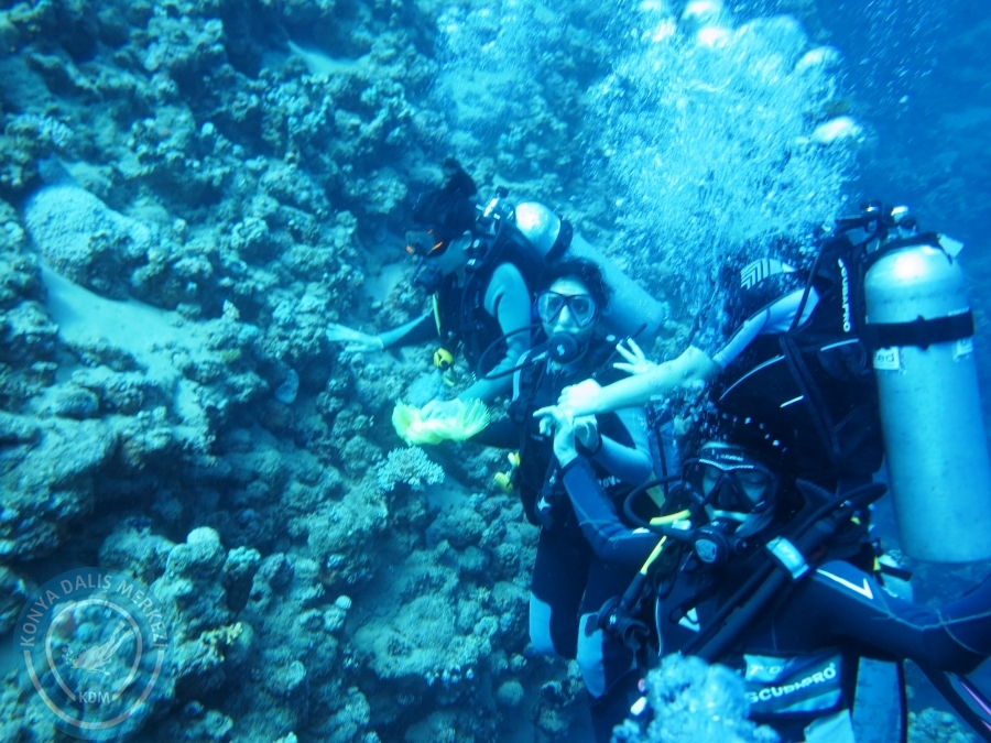 02-08 Aralık 2017 Sharm El Sheikh