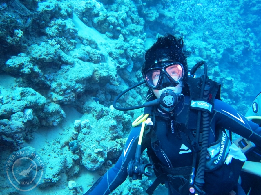 02-08 Aralık 2017 Sharm El Sheikh