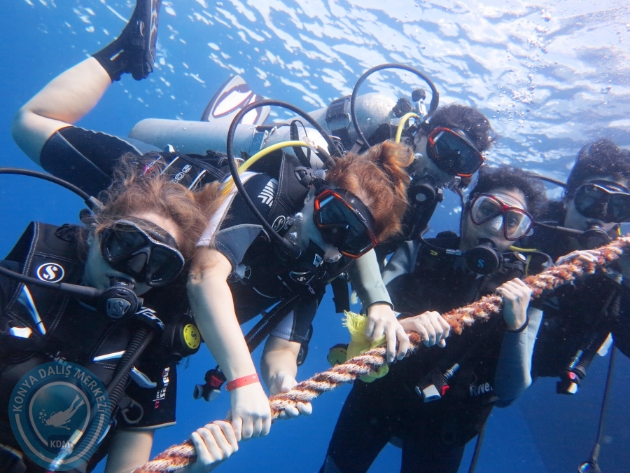 02-08 Aralık 2017 Sharm El Sheikh