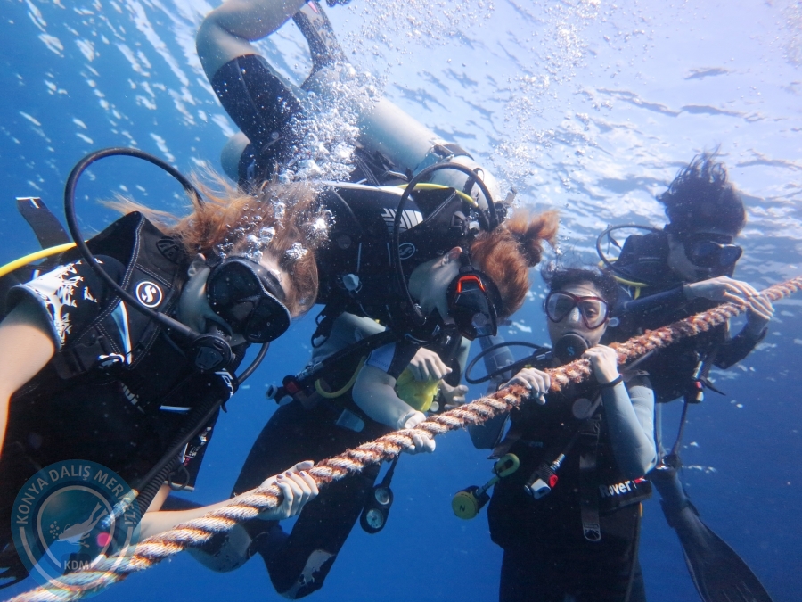 02-08 Aralık 2017 Sharm El Sheikh