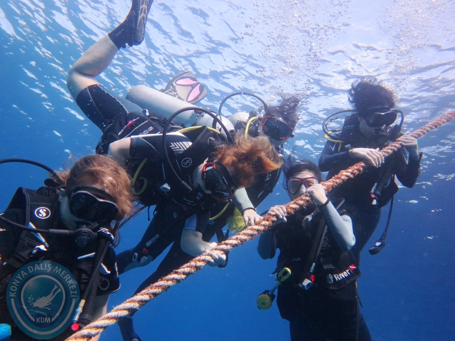 02-08 Aralık 2017 Sharm El Sheikh