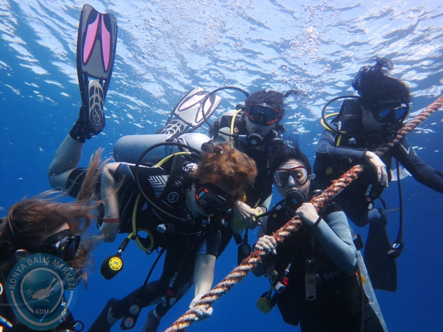 02-08 Aralık 2017 Sharm El Sheikh