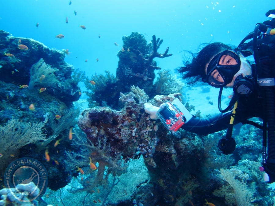 02-08 Aralık 2017 Sharm El Sheikh