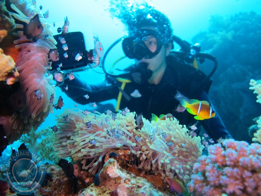 02-08 Aralık 2017 Sharm El Sheikh