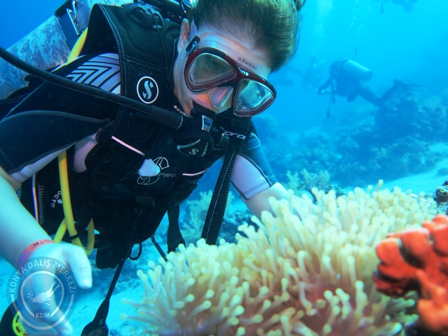 02-08 Aralık 2017 Sharm El Sheikh