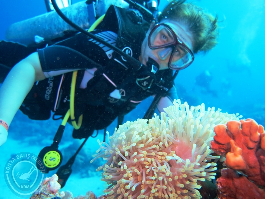 02-08 Aralık 2017 Sharm El Sheikh