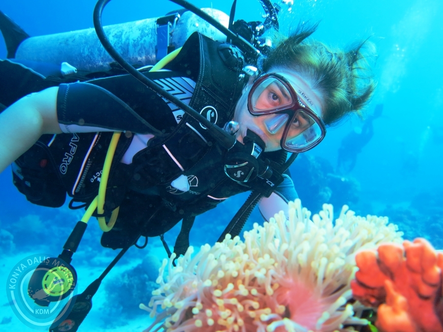 02-08 Aralık 2017 Sharm El Sheikh