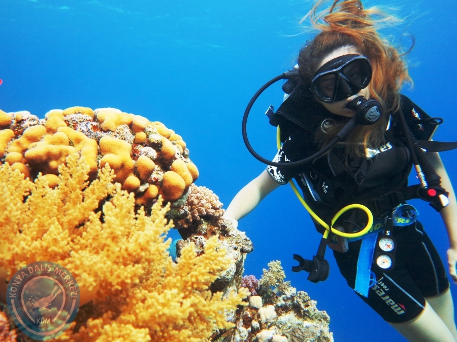 02-08 Aralık 2017 Sharm El Sheikh