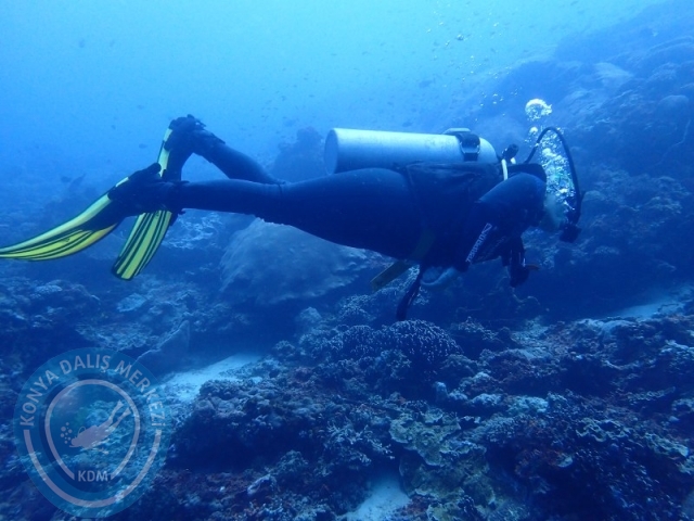02-13 Eylül BALİ