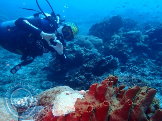 02-13 Eylül BALİ