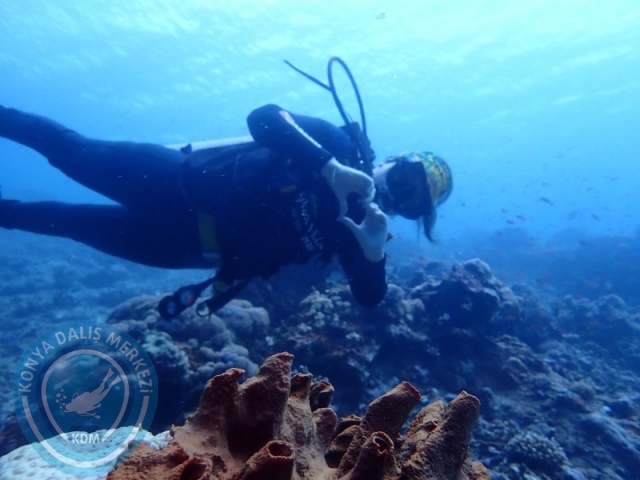 02-13 Eylül BALİ