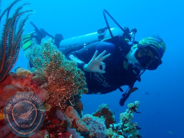 02-13 Eylül BALİ