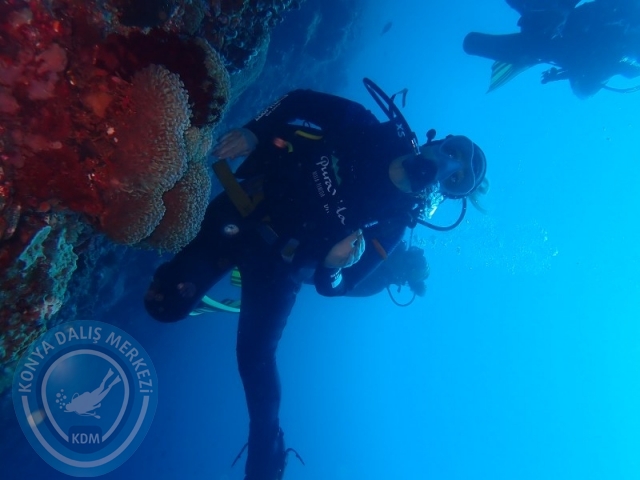02-13 Eylül BALİ