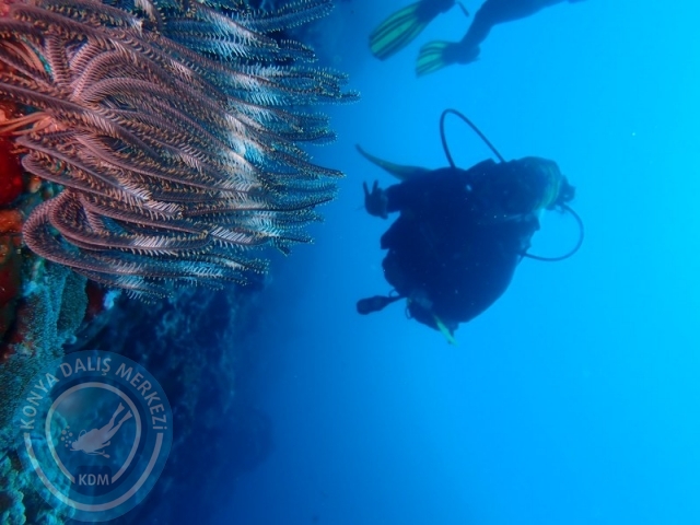 02-13 Eylül BALİ