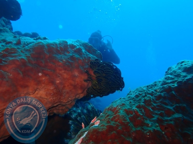 02-13 Eylül BALİ