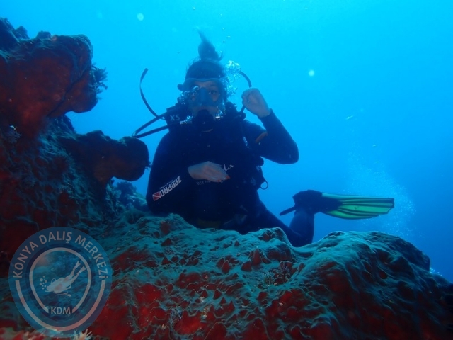 02-13 Eylül BALİ