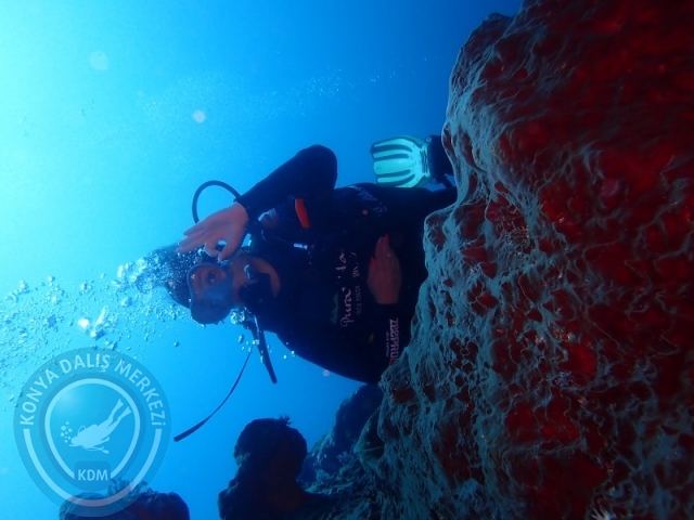 02-13 Eylül BALİ