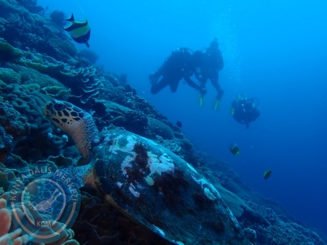 02-13 Eylül BALİ