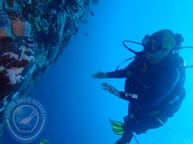 02-13 Eylül BALİ