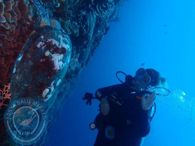 02-13 Eylül BALİ