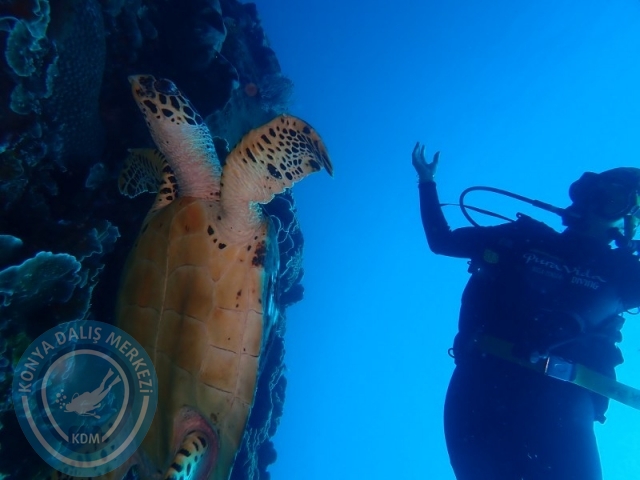 02-13 Eylül BALİ