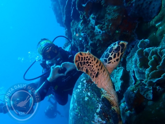 02-13 Eylül BALİ