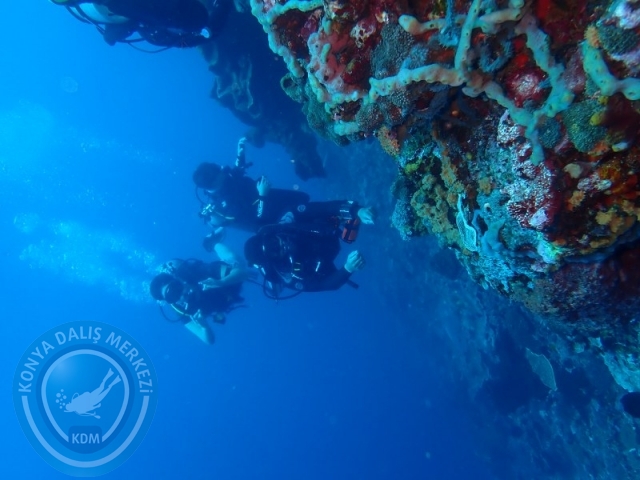 02-13 Eylül BALİ
