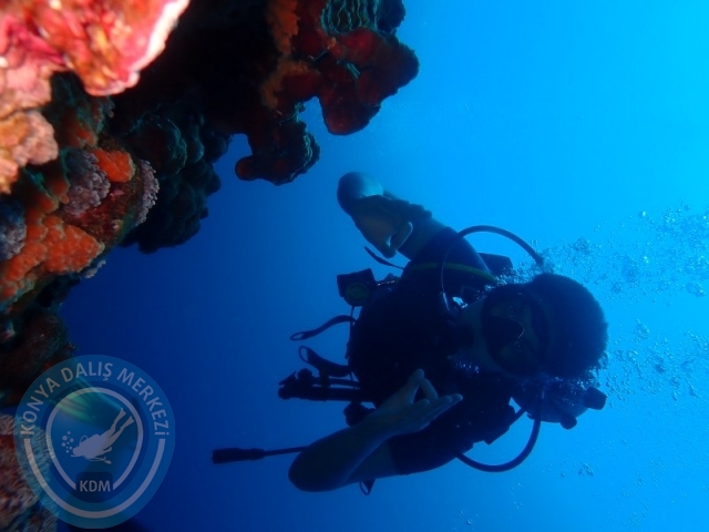 02-13 Eylül BALİ