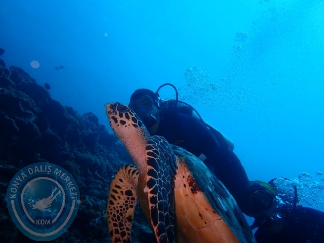 02-13 Eylül BALİ