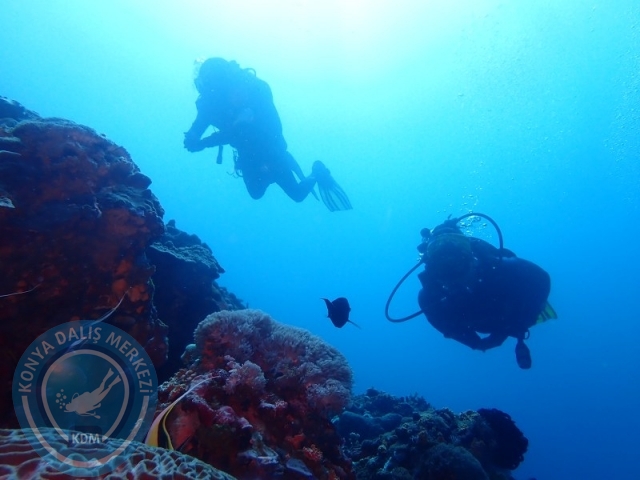 02-13 Eylül BALİ