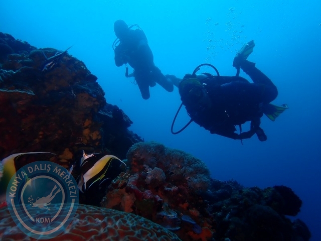 02-13 Eylül BALİ