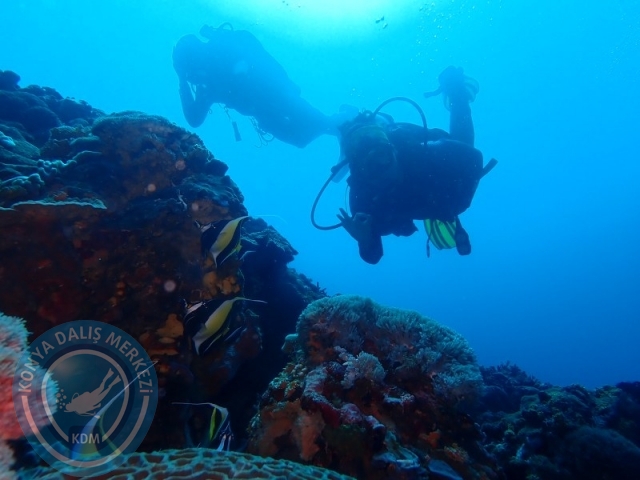 02-13 Eylül BALİ