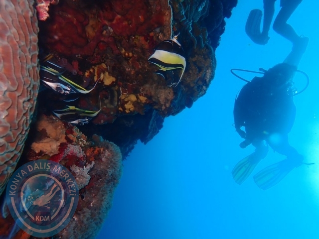 02-13 Eylül BALİ