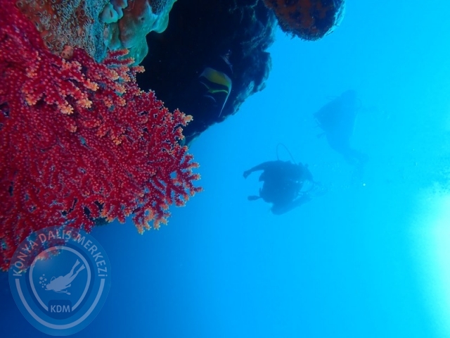 02-13 Eylül BALİ