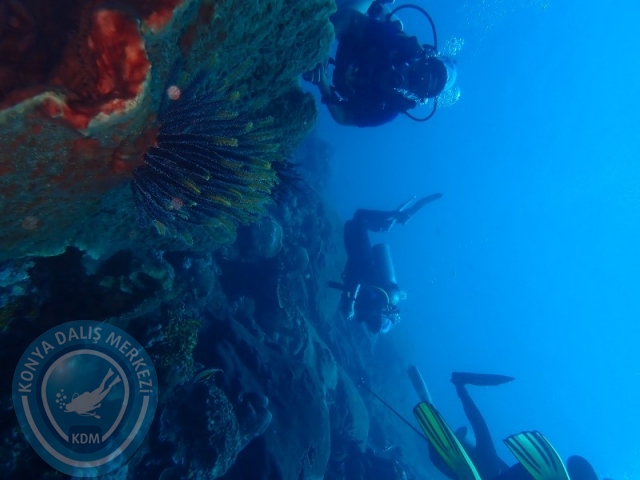 02-13 Eylül BALİ