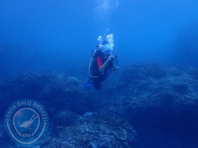 02-13 Eylül BALİ